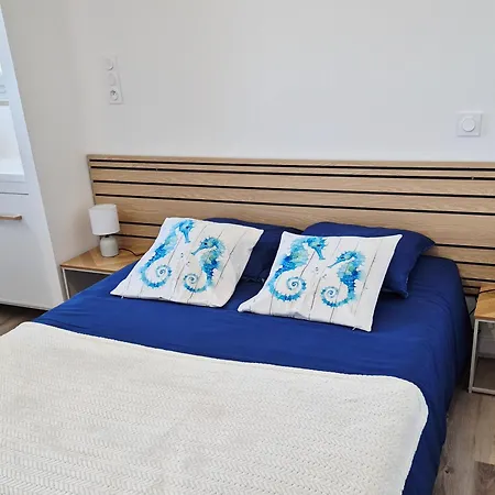 Le Lagon T2-calme-lumineux-neuf-place Voiture-velo Appartement Saint-Gaudens (Haute-Garonne)